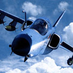 Plants: image 4 0f 4 thumb