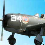 Plants: image 4 0f 4 thumb