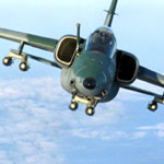 Plants: image 4 0f 4 thumb