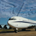 Plants: image 4 0f 4 thumb