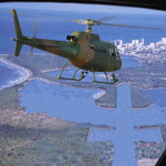 Plants: image 4 0f 4 thumb