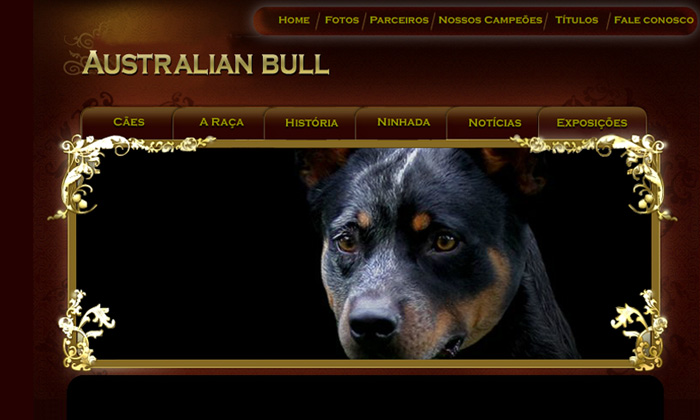 Description of Image